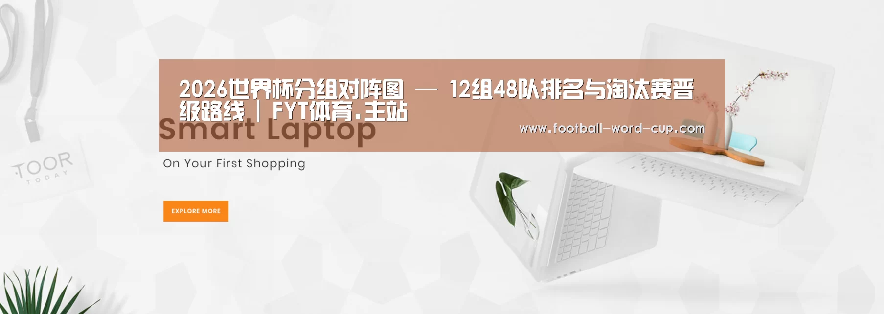 某某网络科技有限公司